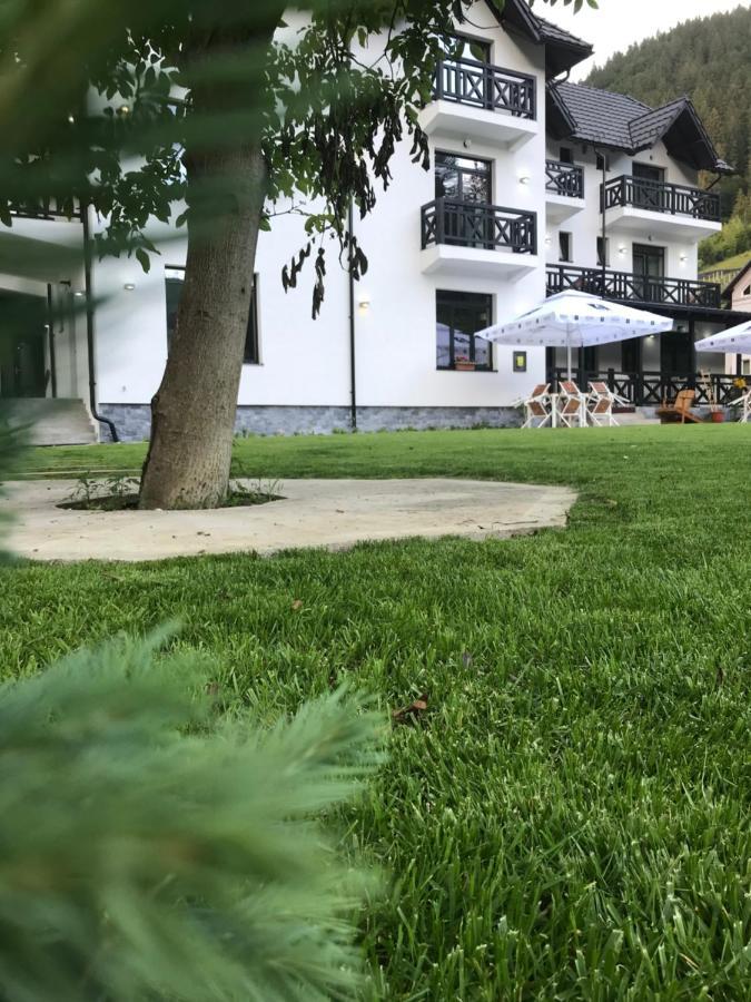 Pensiunea Edelweiss Voineasa Zewnętrze zdjęcie